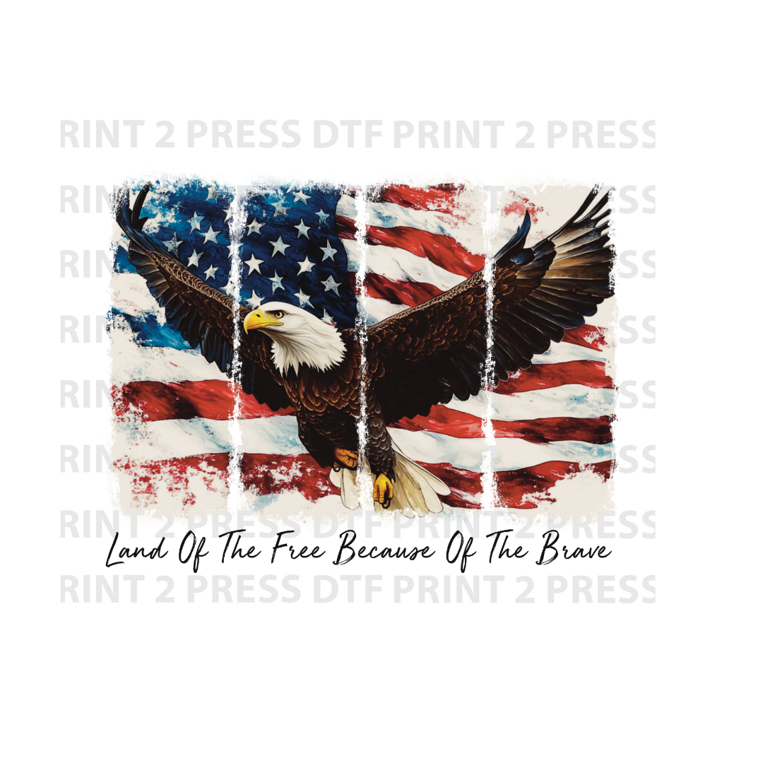Eagle Land of the Free