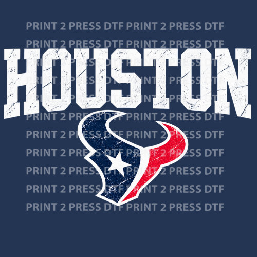 HOUSTON Distressed w Bull