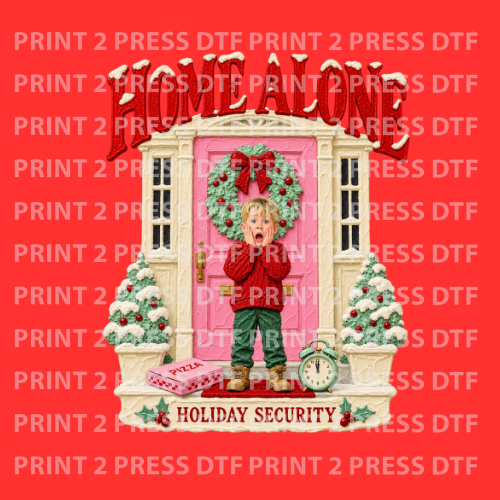 Home Alone Holiday Security